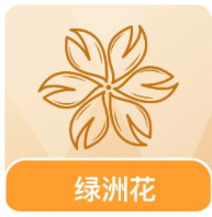 绿洲花